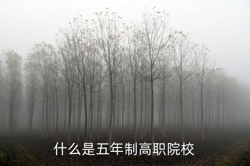 五年制高職，什么是五年制高職院校