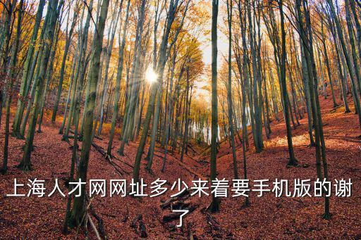 上海人才網網址多少來著要手機版的謝了