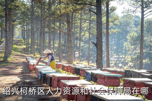 柯橋區(qū)人社局，柯橋區(qū)的社保局在那里幾路公交車到