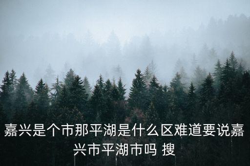 嘉興是個市那平湖是什么區難道要說嘉興市平湖市嗎 搜