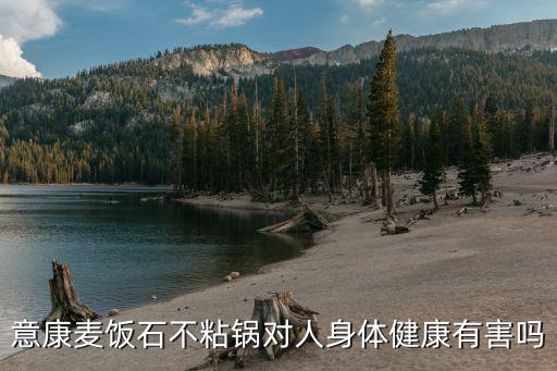 意康麥飯石不粘鍋對人身體健康有害嗎