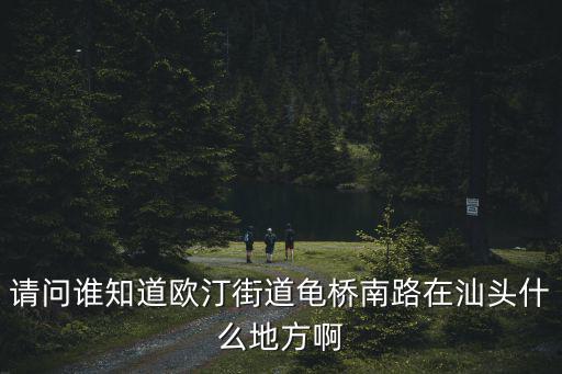 鷗汀街道，請(qǐng)問(wèn)誰(shuí)知道歐汀街道龜橋南路在汕頭什么地方啊