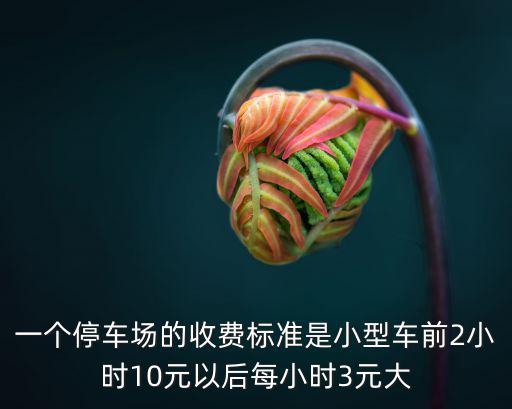 一個停車場的收費標準是小型車前2小時10元以后每小時3元大