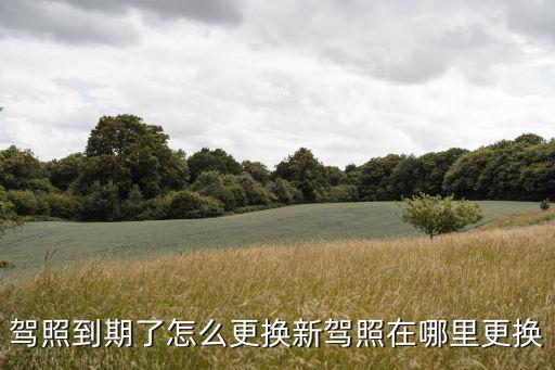 駕照到期了怎么更換新駕照在哪里更換