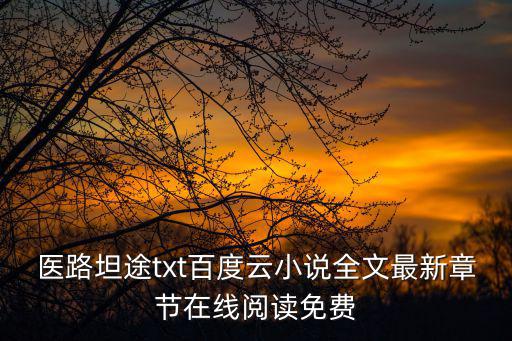 醫路坦途txt百度云小說全文最新章節在線閱讀免費