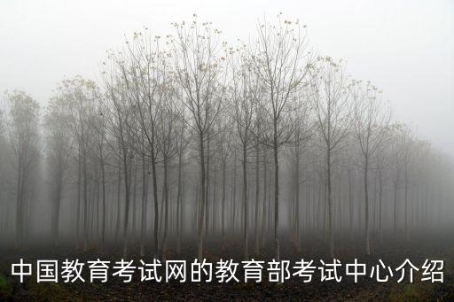 中國教育考試網的教育部考試中心介紹