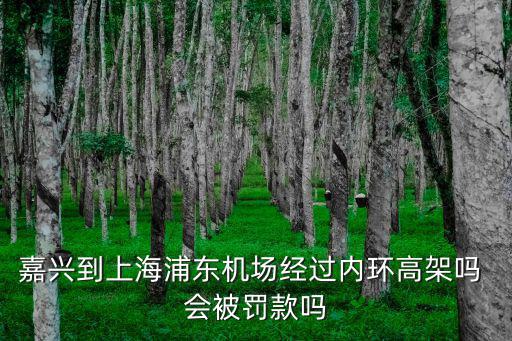 嘉興到上海浦東機場經過內環高架嗎 會被罰款嗎
