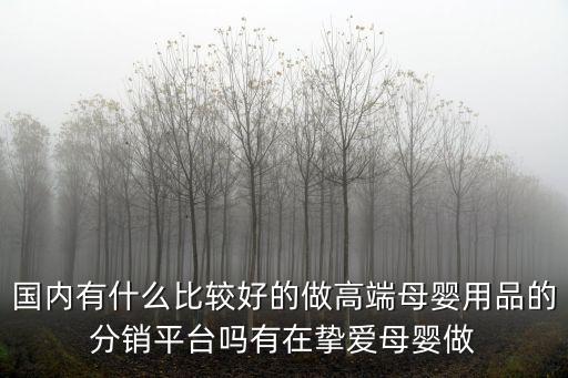 國內有什么比較好的做高端母嬰用品的分銷平臺嗎有在摯愛母嬰做