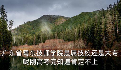 廣東省粵東技師學院是屬技校還是大專呢剛高考完知道肯定不上