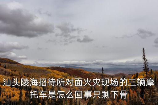 汕頭火燒迎賓館，2000年汕頭迎賓館大火后來(lái)怎么樣了