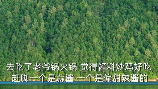 去吃了老爺鍋火鍋 覺得醬料炒雞好吃 趕腳一個是蒜醬 一個是偏甜辣醬的