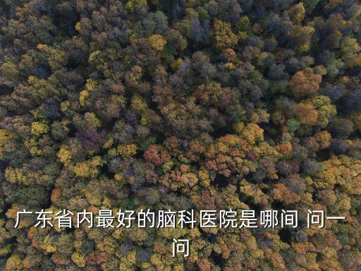 廣東省內最好的腦科醫院是哪間 問一問