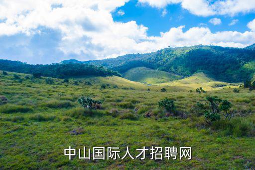 中山國際人才招聘網
