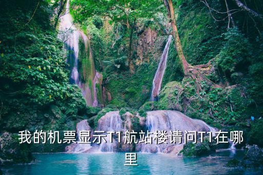 我的機(jī)票顯示T1航站樓請(qǐng)問(wèn)T1在哪里
