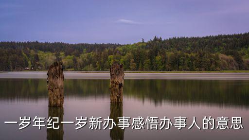 一歲年紀一歲新辦事感悟辦事人的意思