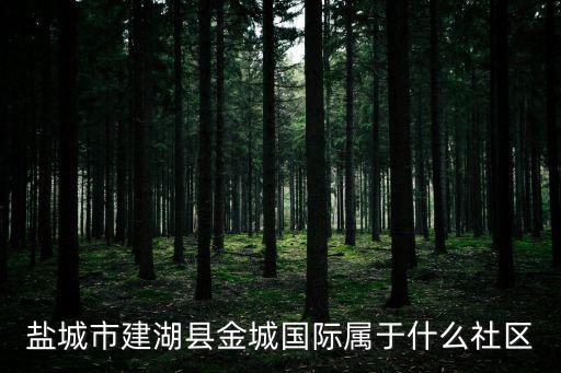 鹽城市建湖縣金城國際屬于什么社區(qū)