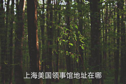 上海美領館，美國駐上海總領事館簽證處在什么地方