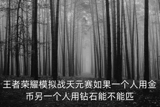 王者榮耀模擬戰(zhàn)天元賽如果一個人用金幣另一個人用鉆石能不能匹