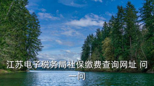 江蘇電子稅務(wù)局社保繳費(fèi)查詢網(wǎng)址 問一問