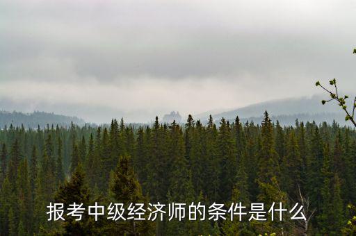 報考中級經濟師的條件是什么