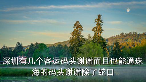 深圳碼頭，深圳有幾個岸口碼頭港口