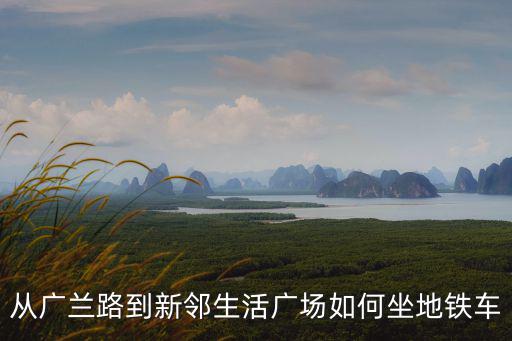 廣蘭路，上海有軌電車浦東廣蘭路站在哪里
