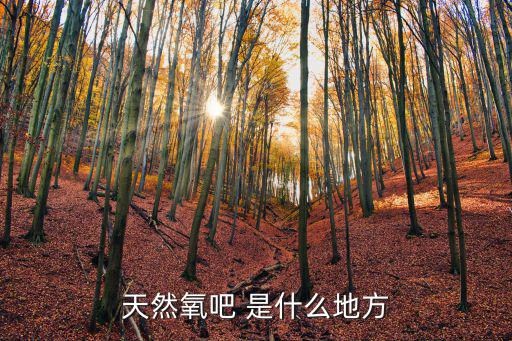 天然氧吧 是什么地方