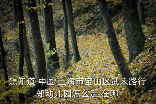 想知道 中國 上海市寶山區(qū)武未路行知幼兒園怎么走 在哪
