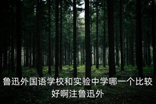 魯迅外國語學校和實驗中學哪一個比較好啊注魯迅外