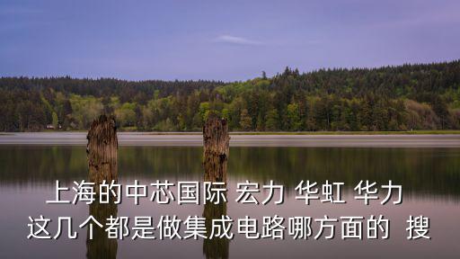 華虹宏力，上海的中芯國際 宏力 華虹 華力 這幾個都是做集成電路哪方面的  搜