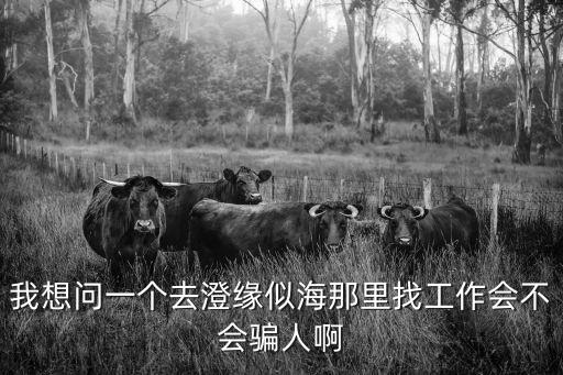 我想問一個去澄緣似海那里找工作會不會騙人啊