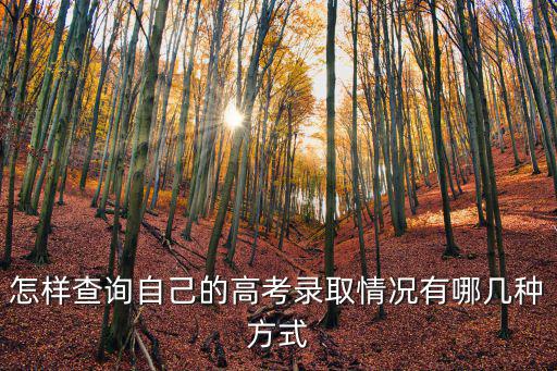 查錄取，如何查詢錄取情況的