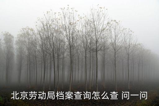 北京勞動局檔案查詢怎么查 問一問
