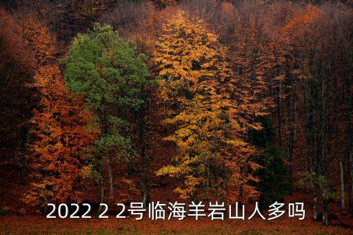 2022 2 2號臨海羊巖山人多嗎
