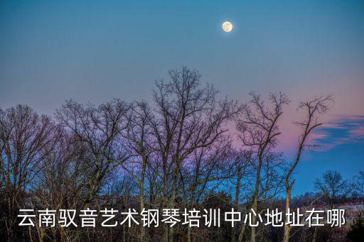 云南馭音藝術鋼琴培訓中心地址在哪