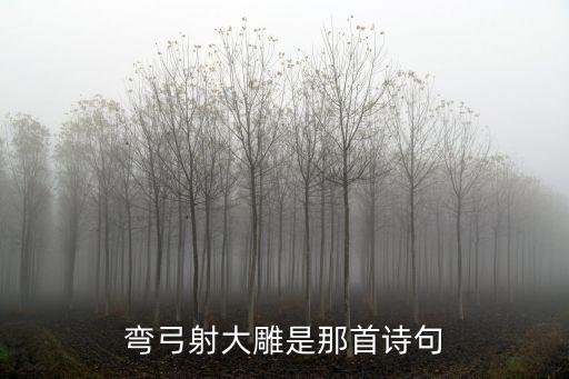 彎弓射大雕是那首詩句