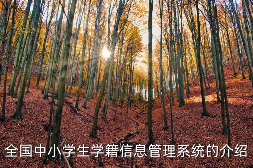 全國中小學生學籍信息管理系統(tǒng)的介紹