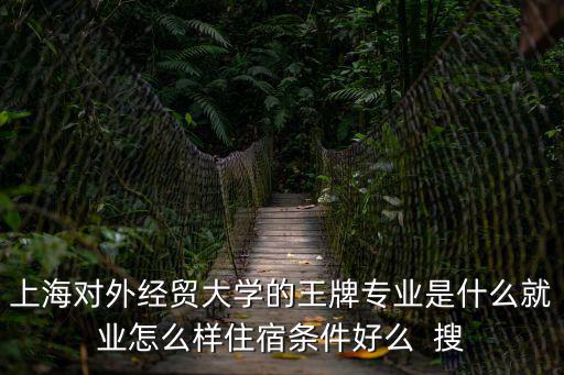 上海對外經貿大學的王牌專業是什么就業怎么樣住宿條件好么  搜