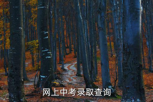 網上中考錄取查詢