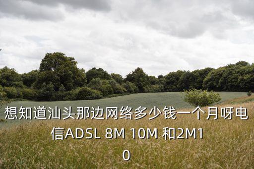 想知道汕頭那邊網(wǎng)絡(luò)多少錢一個(gè)月呀電信ADSL 8M 10M 和2M10