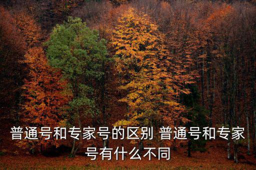 普通號和專家號的區(qū)別 普通號和專家號有什么不同