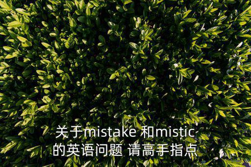 關于mistake 和mistic的英語問題 請高手指點