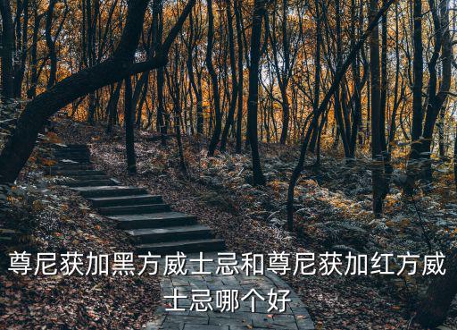 尊尼獲加黑方威士忌和尊尼獲加紅方威士忌哪個好