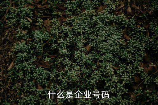 什么是企業號碼