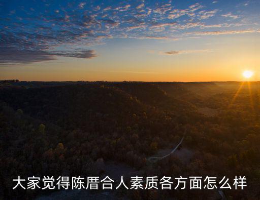 大家覺得陳厝合人素質各方面怎么樣