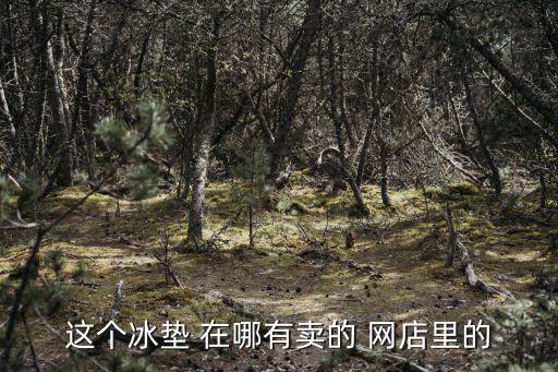 這個冰墊 在哪有賣的 網店里的