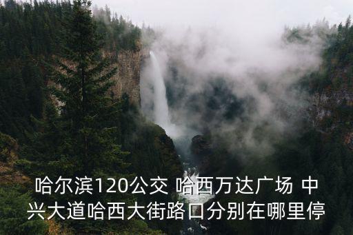 哈爾濱120公交 哈西萬達廣場 中興大道哈西大街路口分別在哪里停