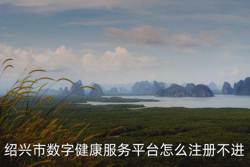 紹興市數(shù)字健康服務(wù)平臺怎么注冊不進