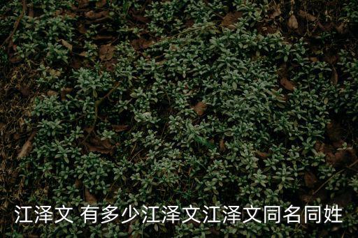 江澤文，找小學同學廣東省茂名市化州市笪橋鎮良沖小學2002屆入學的