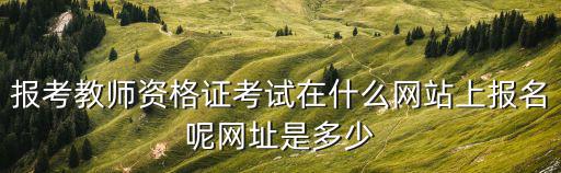 報考教師資格證考試在什么網站上報名呢網址是多少